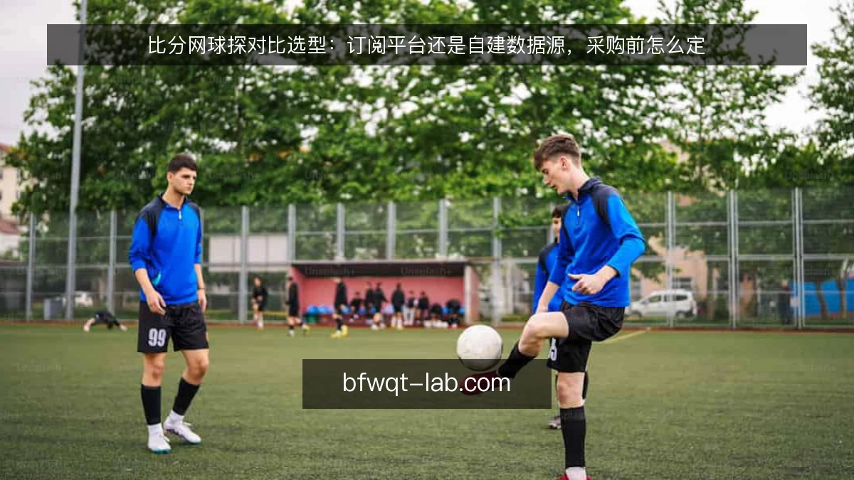 比分网球探对比选型:订阅平台还是自建数据源,采购前怎么定